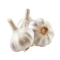 Garlic Isolated on a Transparent Background png