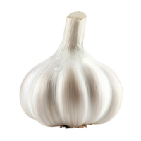 Garlic Isolated on a Transparent Background png