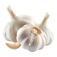 Garlic Isolated on a Transparent Background png