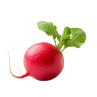 Radish Isolated on a Transparent Background png