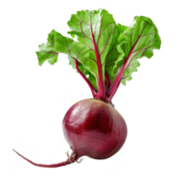 Beetroot Isolated on a Transparent Background png