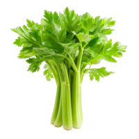 Celery Isolated on a Transparent Background png