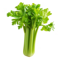 Celery Isolated on a Transparent Background png