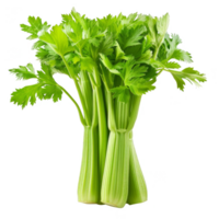 Celery Isolated on a Transparent Background png