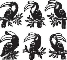 simple hornbill bundle vector