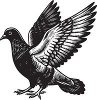 pigeon sketch black vector