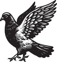 pigeon sketch black vector