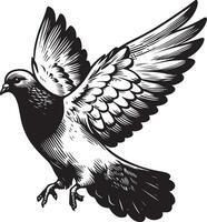 pigeon sketch black vector