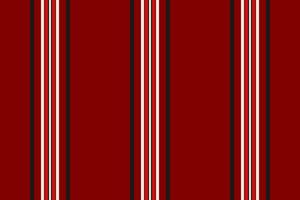 texture lines of vertical stripe seamless with a textile pattern fabric background. vector
