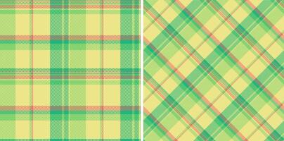 Textile seamless texture of pattern tartan plaid with a check fabric background. Set in rainbow colors for luxury modern curtain designs living room. vector