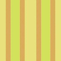 Seamless texture vertical of background textile pattern with a stripe fabric lines. vector