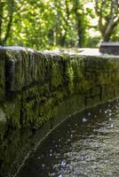 Moss Covered Stone Wall And Water Feature In A Woodland Setting, in Ireland photo