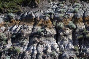 Colorful Layered Rock Formations With Sparse Vegetation in a Dry Climate photo