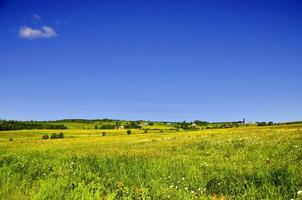 A Sunny Day in a Green Field With a Blue Sky and a Single Cloud in St-Ludger, Quebec, Canada photo