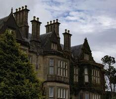 An Overcast Day at a Stone Mansion Covered in Ivy, in Ireland photo