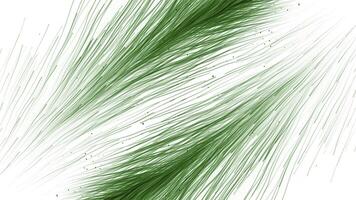 Beautiful soft abstract feathers on a white background. Motion. Fluffy colorful feathers shapes. photo