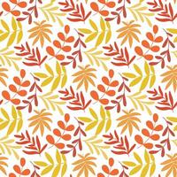 Colorful autumn leaves background graphics vector