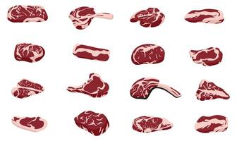 Big set of red beef and pork steaks set. Collection of raw pieces of meat. Cold cuts. Rib eye, tenderloin and brisket vector