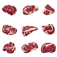Red beef steaks set. Collection of raw pieces of pork and beef. Cold cuts.Tenderloin and brisket vector
