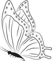 Isolated simple minimal graphic contour line butterfly drawing. Colorless single line butterfly drawing coloring page. Beautiful Wings vector