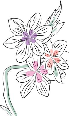 Floral hand drawn clipart. Botanical line art wallpaper with flowers, leaves. Design in colorful and green shades watercolor texture for banner, prints, wall art and home decoration.
