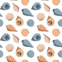 Sea shells seamless pattern. Underwater life. Isolated on white background vector