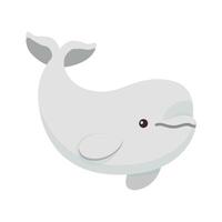 Beluga illustration. White whale art. White background. Cartoon graphics. vector