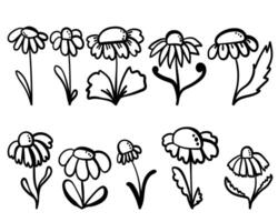 Set of fantasy flowers in doodle style, hand drawn flowering plants for cards, design or coloring creation pages vector