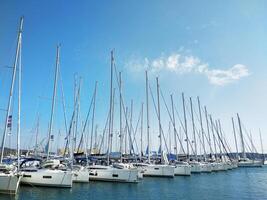 Sailing yachts are lined up in the marina on a sunny day photo