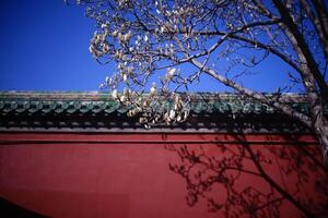 The exterior walls of ancient Chinese architecture in spring photo
