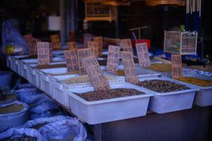 China's flower and bird market photo