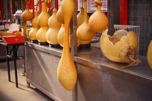 China's flower and bird market photo