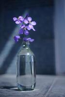 April orchids in vase photo
