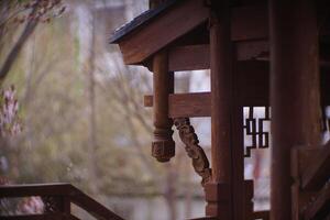 Buildings and Architecture in asia photo