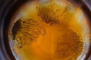 Ice cubes in glass of water photo