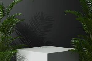 square cube geometric white podium for product display with palm plants abstract scene composition 3d illustration rendering photo