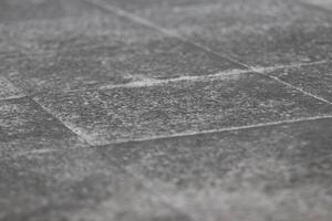 Cement tile pavement in close up view photo