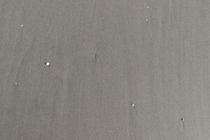 The texture of coastal and sandy land photo