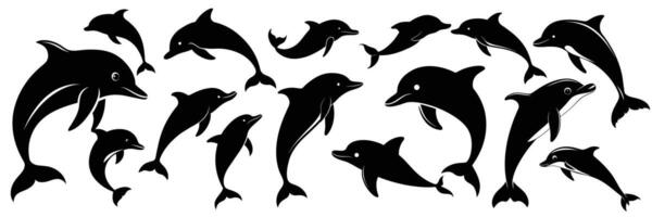 Collection of Dolphins silhouette. Hand drawn art. vector