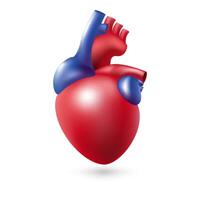 3D icon illustration of a human heart, representing cardiology and healthcare. Represent pulse, blood flow, and cardiac rhythm, crucial in understanding heart health and treating diseases. Not AI. vector