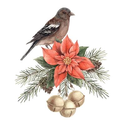 Bird, green spruce branches and pine cones, red poinsettia with Christmas berries. Watercolor Christmas composition in vintage style. Composition for Christmas and New Year holidays, invitations.