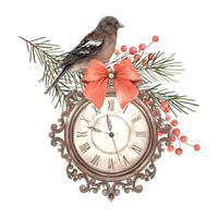 Vintage clock with a red bow, surrounded by pine branches and red berries and a bird. Watercolor composition in Christmas style. Drawing for the New Year holidays, invitations, cards, packaging. vector