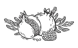 composition of pomegranate fruits with seeds and leaves. Botanical black and white illustration, hand drawn in linocut style. Drawing for design of packaging, menus, recipes, postcards vector