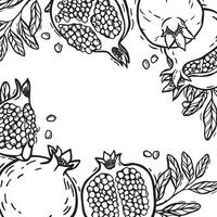 Frame with pomegranate fruits and branches with leaves. botanical black and white set in linocut style. There is space for text. For the design of food and cosmetics packaging, menus vector