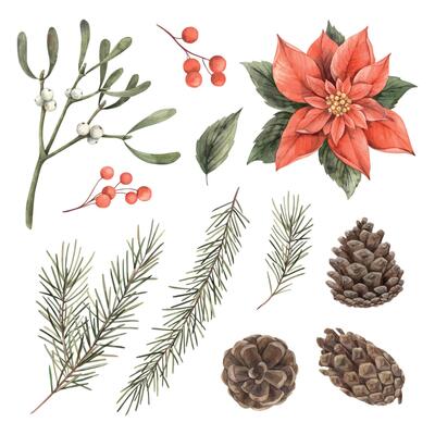 Collection of Christmas elements, poinsettia, mistletoe, pine cones, berries and fir branches. Watercolor isolated elements are suitable for New Year cards, seasonal decorations and design projects.
