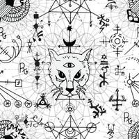 Seamless pattern with cat and mysterious symbols vector