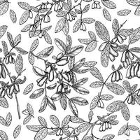 Seamless background with honeysuckle berries, leaves and branches on white vector