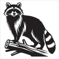 A Raccoon standing on a tree branch looking majestic illustration in black and white vector