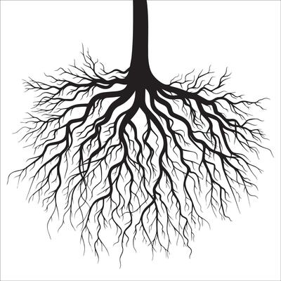 simple black and white illustration of a tree roots
