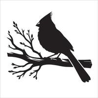 A Northern cardinal bird on a tree branch illustration in black and white vector
